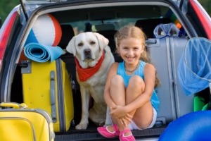 Taking-Your-Dog-on-Vacation-pet-news