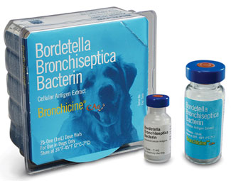 kennel cough In Dallas, Texas