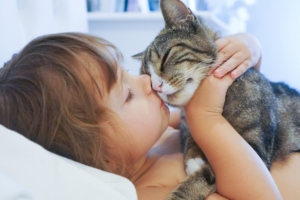 feline_leukemia_cat-news