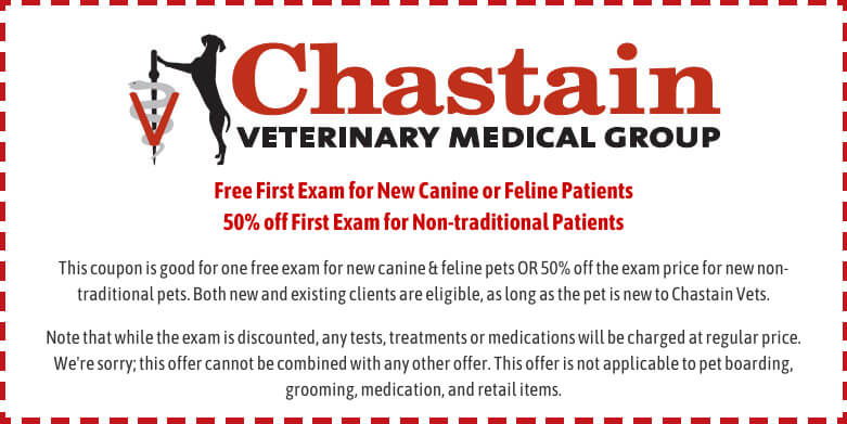 CVMG First Free Exam