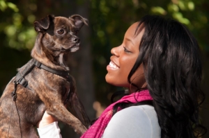 heartworm_testing_dog-news