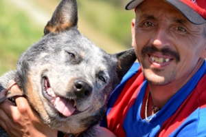 roundworms-in-dogs-dog-news